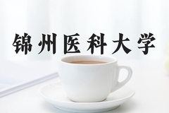 2024年锦州医科大学在新疆计划招生人数（附学费及专业录取分)