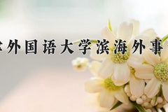 2024年天津外国语大学滨海外事学院在新疆计划招生人数（附学费及专业录取分)