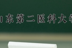 2024年山东第二医科大学在新疆计划招生人数（附学费及专业录取分)