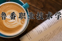 2024年吐鲁番职业技术学院在新疆计划招生人数（附学费及专业录取分)