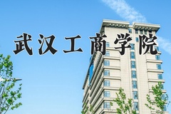 2024年武汉工商学院在新疆计划招生人数（附学费及专业录取分)