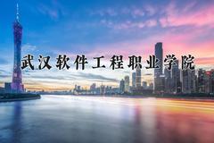 2024年武汉软件工程职业学院在新疆计划招生人数（附学费及专业录取分)