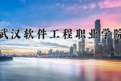 2024年武汉软件工程职业学院在新疆计划招生人数（附学费及专业录取分)