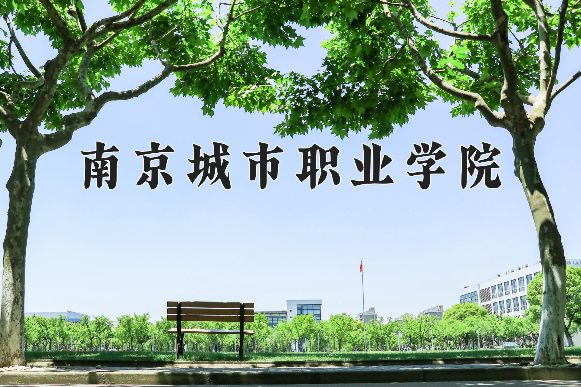 南京城市职业学院