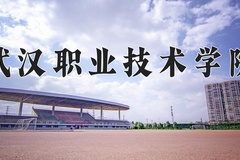 2024年武汉职业技术学院在新疆计划招生人数（附学费及专业录取分)