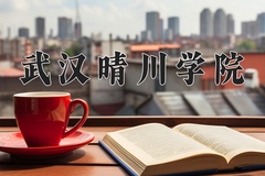 2024年武汉晴川学院在新疆计划招生人数（附学费及专业录取分)