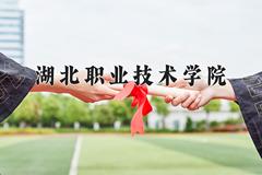 2024年湖北职业技术学院在新疆计划招生人数（附学费及专业录取分)