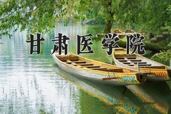 2024年甘肃医学院在新疆计划招生人数（附学费及专业录取分)