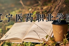 2024年辽宁医药职业学院在新疆计划招生人数（附学费及专业录取分)