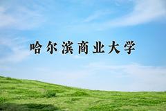 2024年哈尔滨商业大学在新疆计划招生人数（附学费及专业录取分)