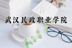 2024年武汉民政职业学院在新疆计划招生人数（附学费及专业录取分)