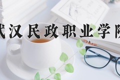 2024年武汉民政职业学院在新疆计划招生人数（附学费及专业录取分)