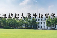 2024年武汉纺织大学外经贸学院在新疆计划招生人数（附学费及专业录取分)