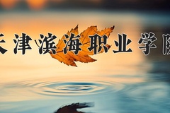 2024年天津滨海职业学院在新疆计划招生人数（附学费及专业录取分)