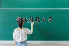 2024年武汉科技大学在新疆计划招生人数（附学费及专业录取分)