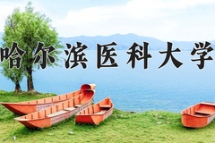 2024年哈尔滨医科大学在新疆计划招生人数（附学费及专业录取分)