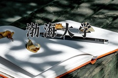 2024年渤海大学在新疆计划招生人数（附学费及专业录取分)