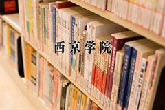 2024年西京学院在新疆计划招生人数（附学费及专业录取分)