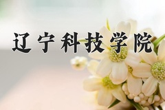 2024年辽宁科技学院在新疆计划招生人数（附学费及专业录取分)