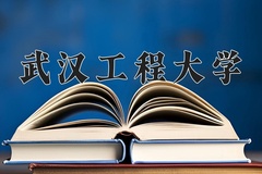 2024年武汉工程大学在新疆计划招生人数（附学费及专业录取分)