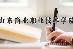 2024年山东商业职业技术学院在新疆计划招生人数（附学费及专业录取分)