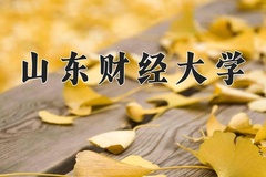 2024年山东财经大学在新疆计划招生人数（附学费及专业录取分)