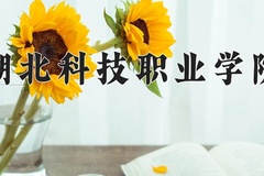 2024年湖北科技职业学院在新疆计划招生人数（附学费及专业录取分)
