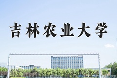 2024年吉林农业大学在新疆计划招生人数（附学费及专业录取分)