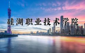 2024年硅湖职业技术学院在新疆计划招生人数（附学费及专业录取分)