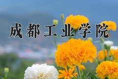 2024年成都工业学院在新疆计划招生人数（附学费及专业录取分)