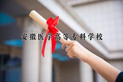 2024年安徽医学高等专科学校在新疆计划招生人数（附学费及专业录取分)