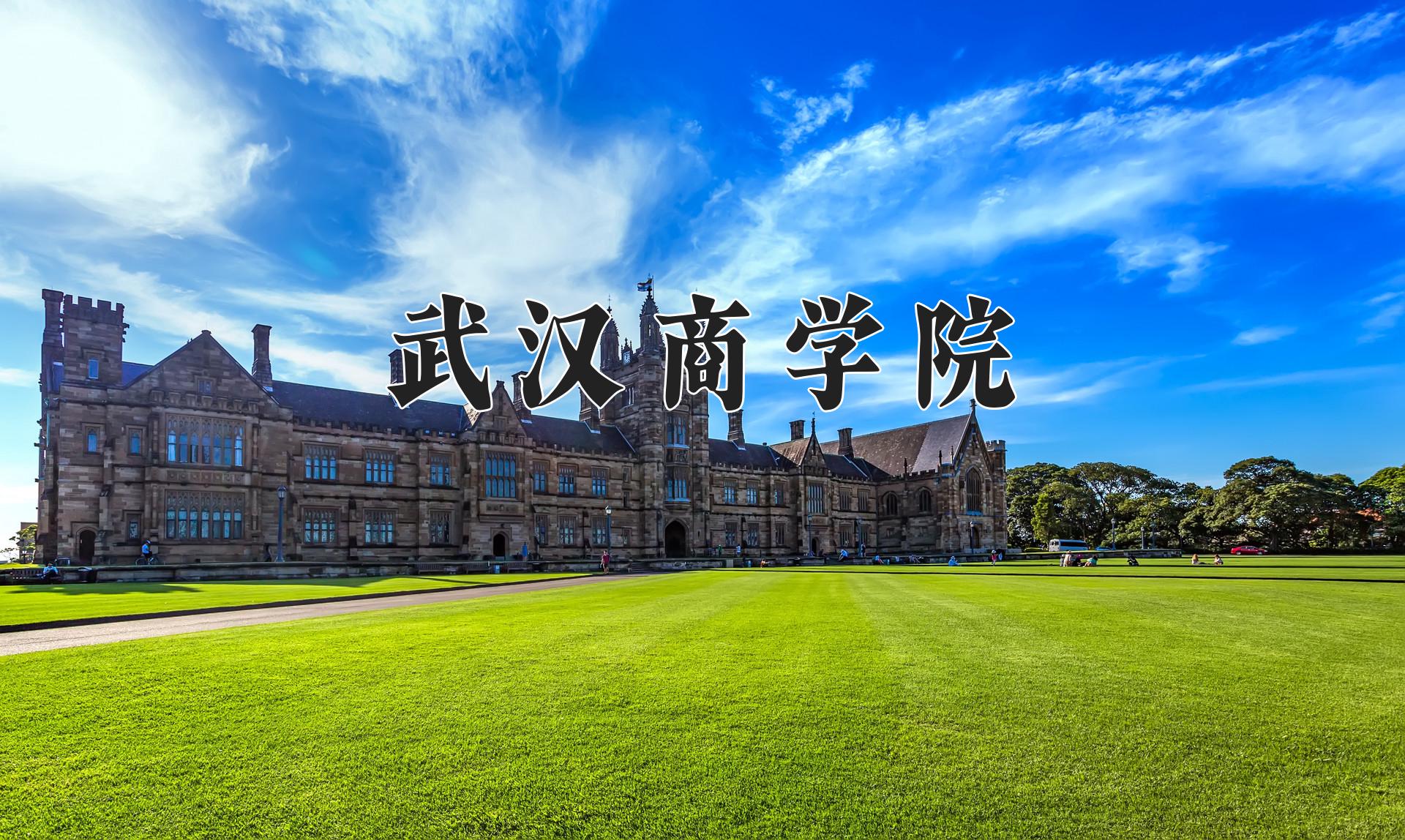 武汉商学院