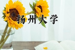 2024年扬州大学在新疆计划招生人数（附学费及专业录取分)