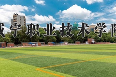 2024年咸宁职业技术学院在新疆计划招生人数（附学费及专业录取分)