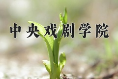2024年中央戏剧学院在新疆计划招生人数（附学费及专业录取分)