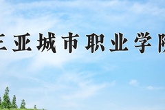 2024年三亚城市职业学院在新疆计划招生人数（附学费及专业录取分)