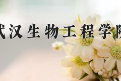 2024年武汉生物工程学院在新疆计划招生人数（附学费及专业录取分)