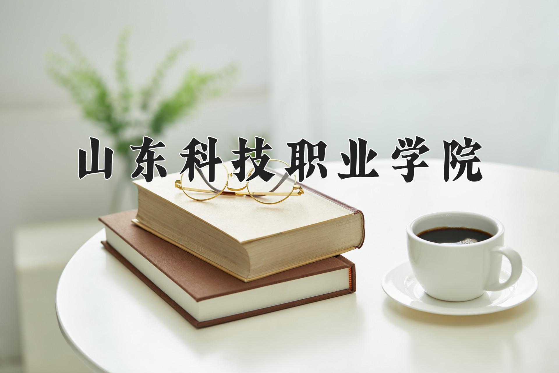 山东科技职业学院