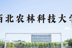 2024年西北农林科技大学在新疆计划招生人数（附学费及专业录取分)