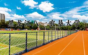 黑龙江八一农垦大学2024年各学科排名一览表！附教育部评级比例