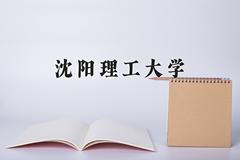 沈阳理工大学2024年各学科排名一览表！附教育部评级比例