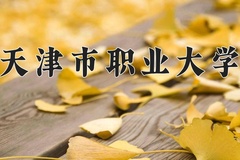 天津市职业大学近三年在内蒙古录取分数线(含2021-2023最低分)