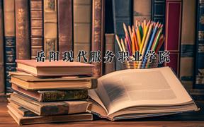 2024年岳阳现代服务职业学院招生章程，附办学层次和录取规则