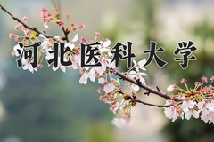 河北医科大学近三年在内蒙古录取分数线(含2021-2023最低分)