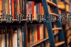 2024年安徽审计职业学院招生章程，附办学层次和录取规则