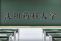 沈阳药科大学近三年在内蒙古录取分数线(含2021-2023最低分)