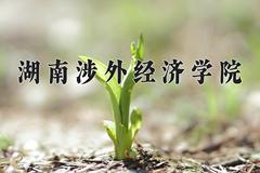 湖南涉外经济学院近三年在宁夏录取分数线(含2021-2023最低分)