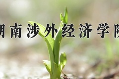 湖南涉外经济学院近三年在宁夏录取分数线(含2021-2023最低分)