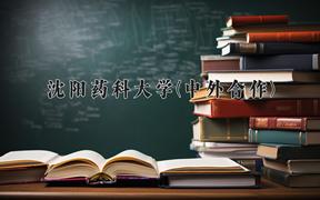 沈阳药科大学(中外合作)近三年在内蒙古录取分数线(含2021-2023最低分)