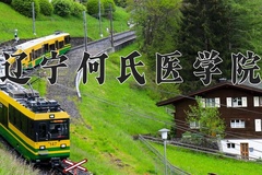 辽宁何氏医学院近三年在内蒙古录取分数线(含2021-2023最低分)